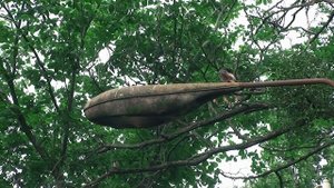 Старый  уличный фонарь LBL 2x250 с лампами ДРЛ