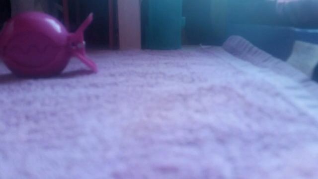 логово волшебных животных смотреть онлайн