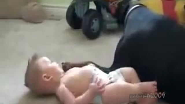 Ребёнок и доберман. Мило) смотреть онлайн