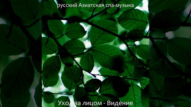 Звуки (Спа Массаж) смотреть онлайн