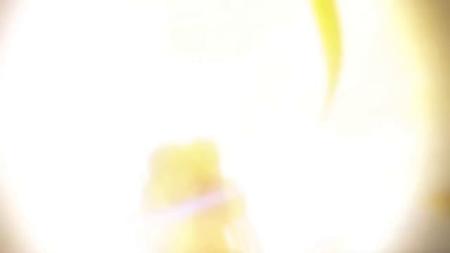 Satoru Gojo vs Toji Fushiguro - Jujutsu Kaisen Season 2 "Hidden Inventory"「AMV」- Numb The Pain ᴴᴰ смотреть онлайн