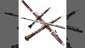 Баев Евг. Квартет деревянных I ч (флейта, гобой, кларнет и фагот)