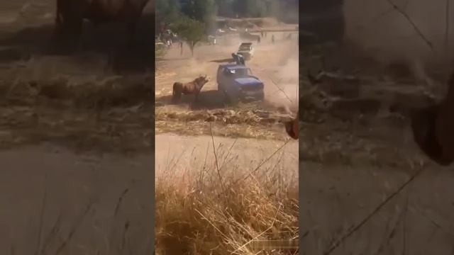 Он просто не принимает никакого дерьма сегодня# смотреть онлайн