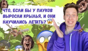Что, если бы у пауков выросли крылья и они научились летать?