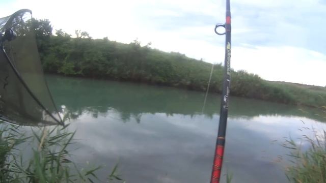 Ловля карпа. Моя рыбалка №1. Июнь 2016 г. смотреть онлайн