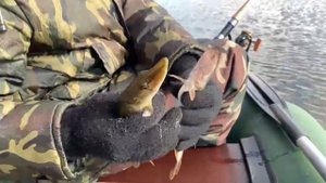 Рыбалка с Горе рыбаками(ПОЙМАЛИ ЩУКУ))