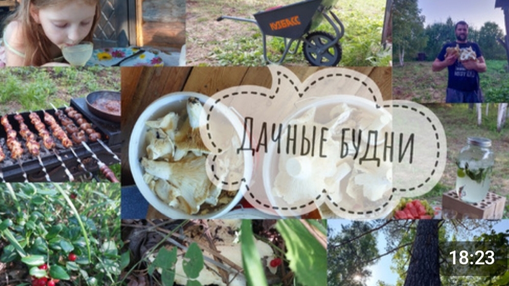 Влог на даче🏡 Купили заросшую дачу, облагородили участок🥰 Собираем грибы и ягоды🔥