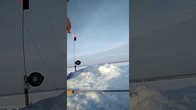 Щука 2кг на жерлицу смотреть онлайн