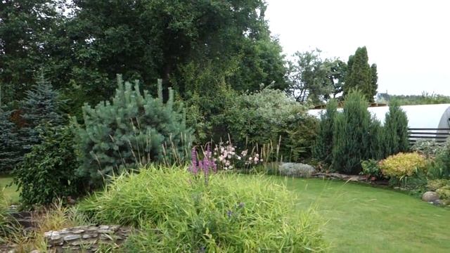 Мой сад 31 июля 2017. Вид с террасы у дома. смотреть онлайн