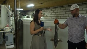 В Сараевском районе стали разводить форель и осетра