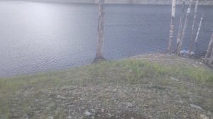 Два дня рыбалки на Саяно Шушенском водохранилище,и мишки на водных процедурах!!!