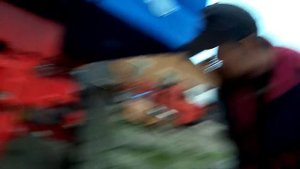 Вносим навоз под картофель