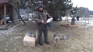 # 44 Новые чучела гусей. Испытаем? Обзор, плюсы и минусы!New stuffed geese. Test?