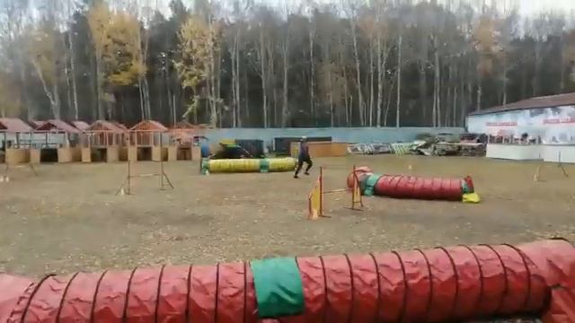 Аджилити. 16 октября 2021 г. Малинуа Змейка