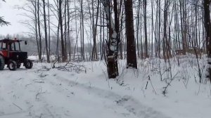 Заготовка дров 2021. Т-25