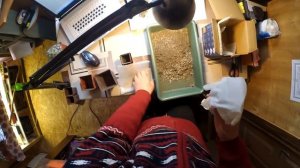 Как  упаковать  и отправить  кактусы посылкой?