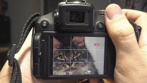 Посылочка от Евгения Матвеева: сломанная фотокамера Panasonic FZ200