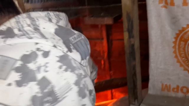 ВЬЕТНАМСКИЕ СВИНЬИ РАЗВЕДЕНИЕ