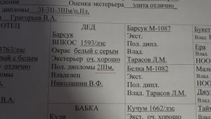 Происхождение собак Удмуртского питомника ЗСЛ. Часть 2