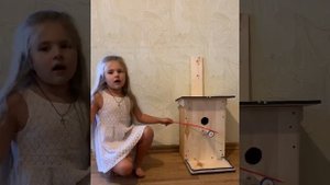 Что такое кормушка и для чего она нужна)  скворечник.