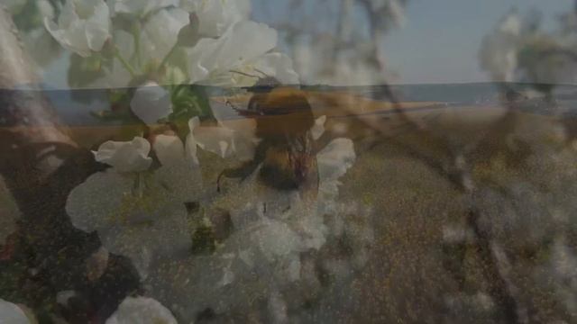 Любви окончания нет. Красивые стихи о любви. Божественная любовь в стихах современных поэтов.
