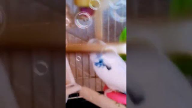 1часть животных смотреть онлайн