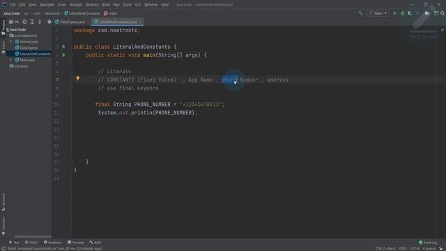 Literals and Constants in JAVA in Hindi смотреть онлайн