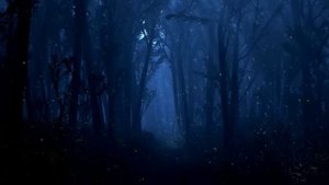 Foggy - Come Into My Dreams (radio edit)