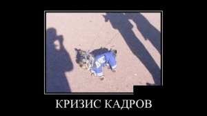 СашаХам - Работникам отделов кадров посвящается