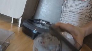 как убирает робот пылесос в реальных условиях дома. Все остальные пылесосы можно выбрасывать?