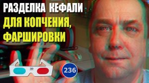 3D stereo red-cyan ЛайфХак Разделка кефали для копчения или фаршировки. Мальковский Вадим