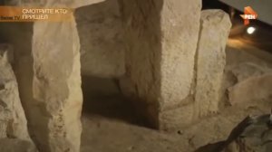 Самые шокирующие гипотезы | Инопланетяне среди нас. Человек произошел вовсе не от обезьяны