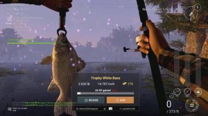 Fishing Planet Quanchkin White Bass Hotspot