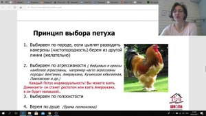 Школа начинающего куровода Урок2. Все о петухе