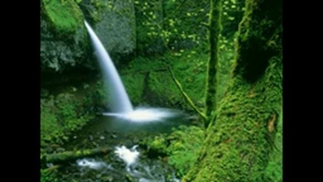 ВЕДУЩИЕ И ВЕДОМЫЕ. 13.10.2022. смотреть онлайн