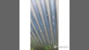 Кия каренс, 2006 г., 2.0 л. 145 л/с. Обзор.