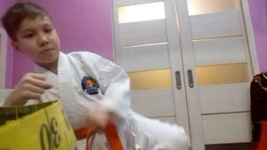 Приёмы каратэ