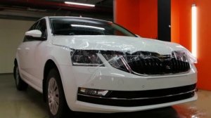 Skoda Octavia защитная пленка на капот, бампер, противотуманки и дверные стойки. | #PlenkiSPb