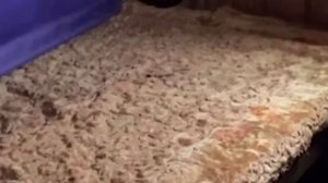 24.01.20. Льняной утеплитель и мыши...