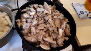 Грибы Вешенки тушеные в сметане