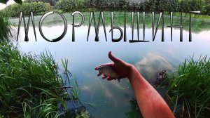 ЛОВЛЯ КАРАСЯ НА МОРМЫШИНГ