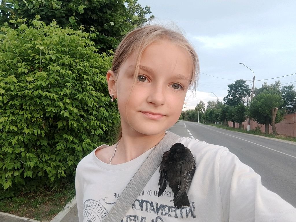 ищу пропавшего птенца
