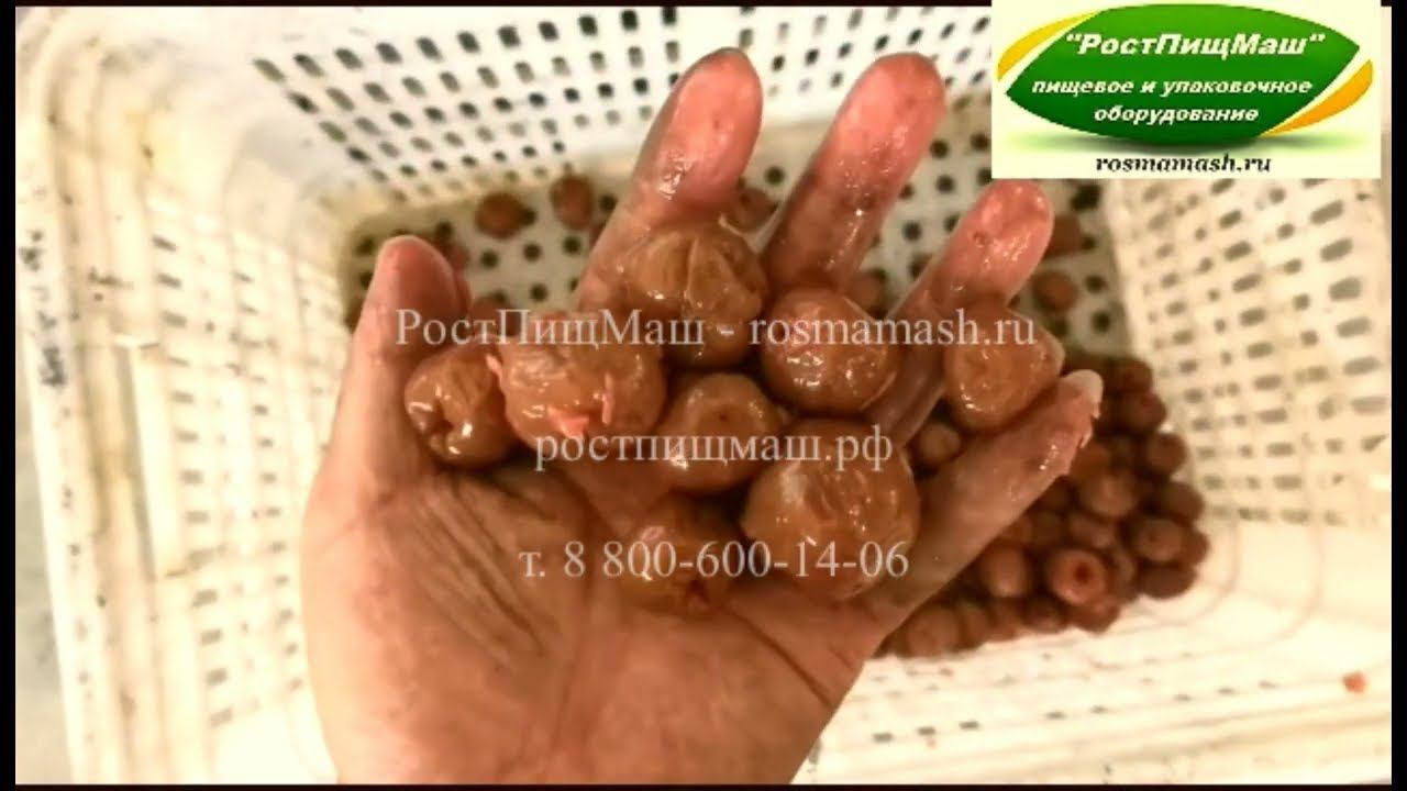 Машина удаления косточек у сливы на Машине LZQH-500 от РостПищМаш смотреть онлайн