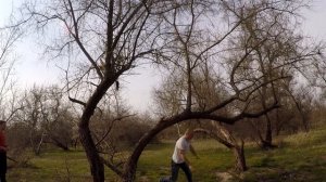 За гири во всем мир! 7. Один гиревик хорошо, а два лучше.