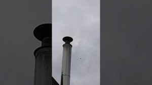 Чистка дымохода осиновыми дровами