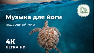 Спокойная музыка для йоги | Подводный мир | Морские черепахи