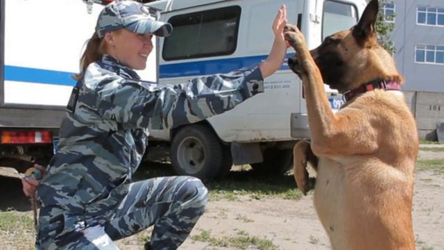 Презентация на тему "Профессия - "Кинолог"" скачать бесплатно