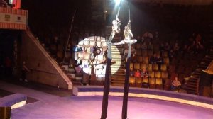 Цирковая студия ЖАР-ПТИЦА г. Новокузнецк