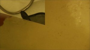 Отмываю сетчатую щит-маску для мотокосы