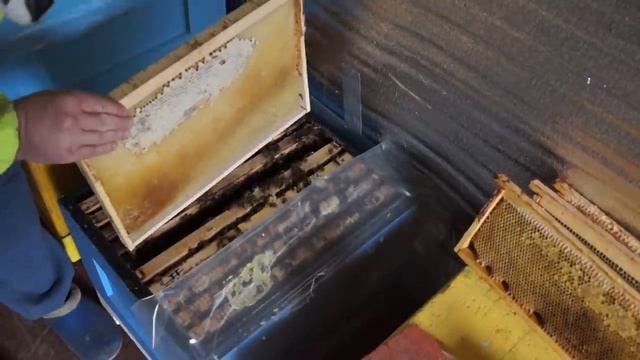 ? Ошибки при расширении гнезда ? смотреть онлайн